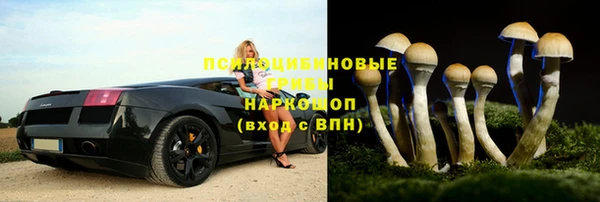 герыч Бронницы