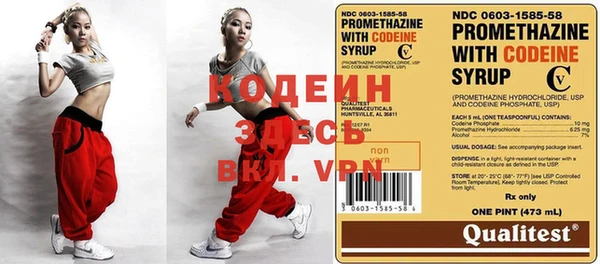 индика Билибино