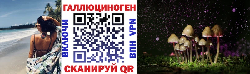 Галлюциногенные грибы прущие грибы что такое Бородино